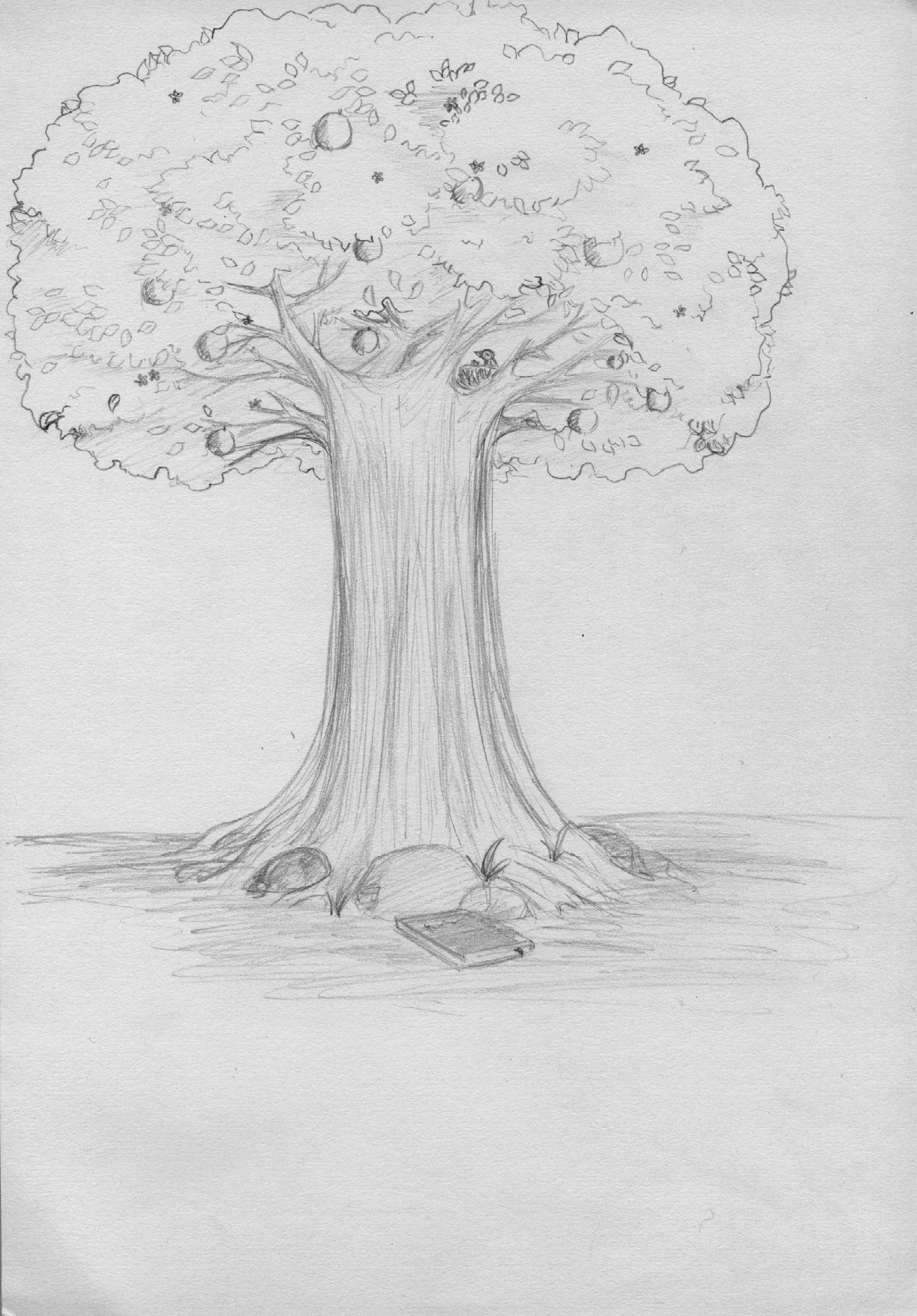 Contoh Gambar Pohon Psikotes 3