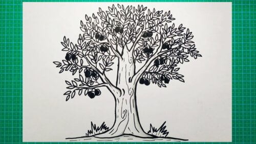 Contoh Soal Psikotes TNI Menggambar Pohon